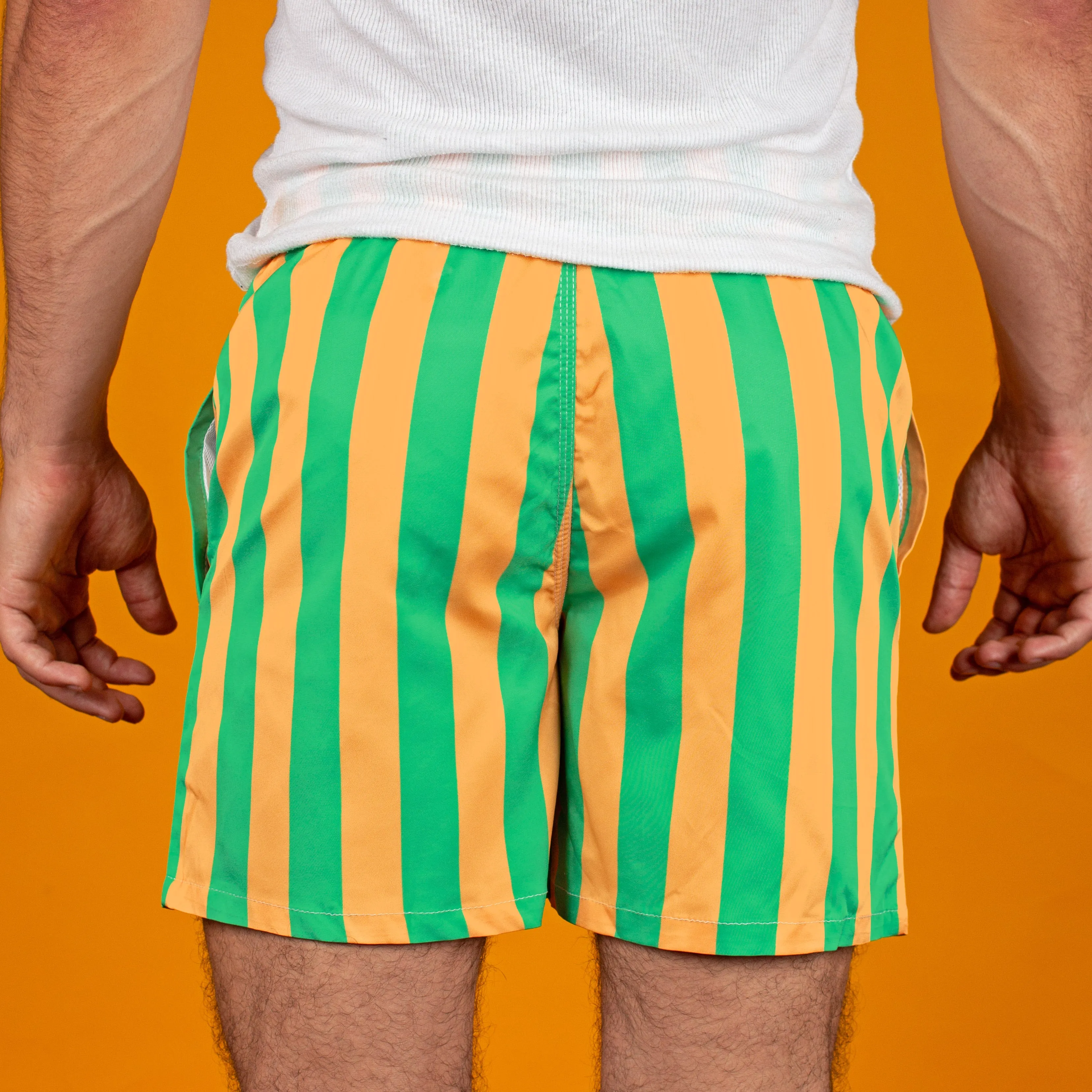Yellow & Green Striped Swim Trunks